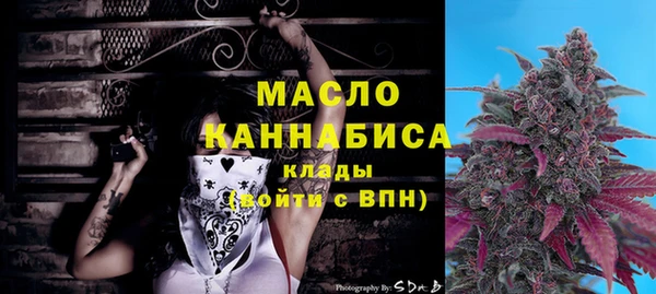 сатива Сясьстрой