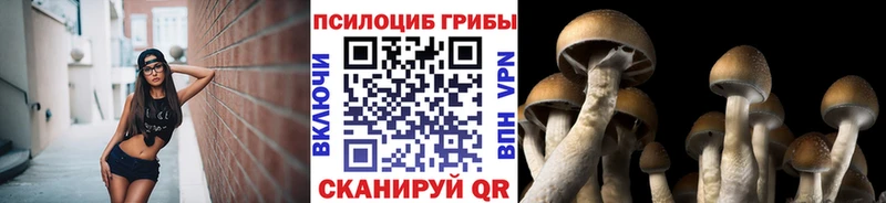 Галлюциногенные грибы MAGIC MUSHROOMS  наркошоп  Дорогобуж 